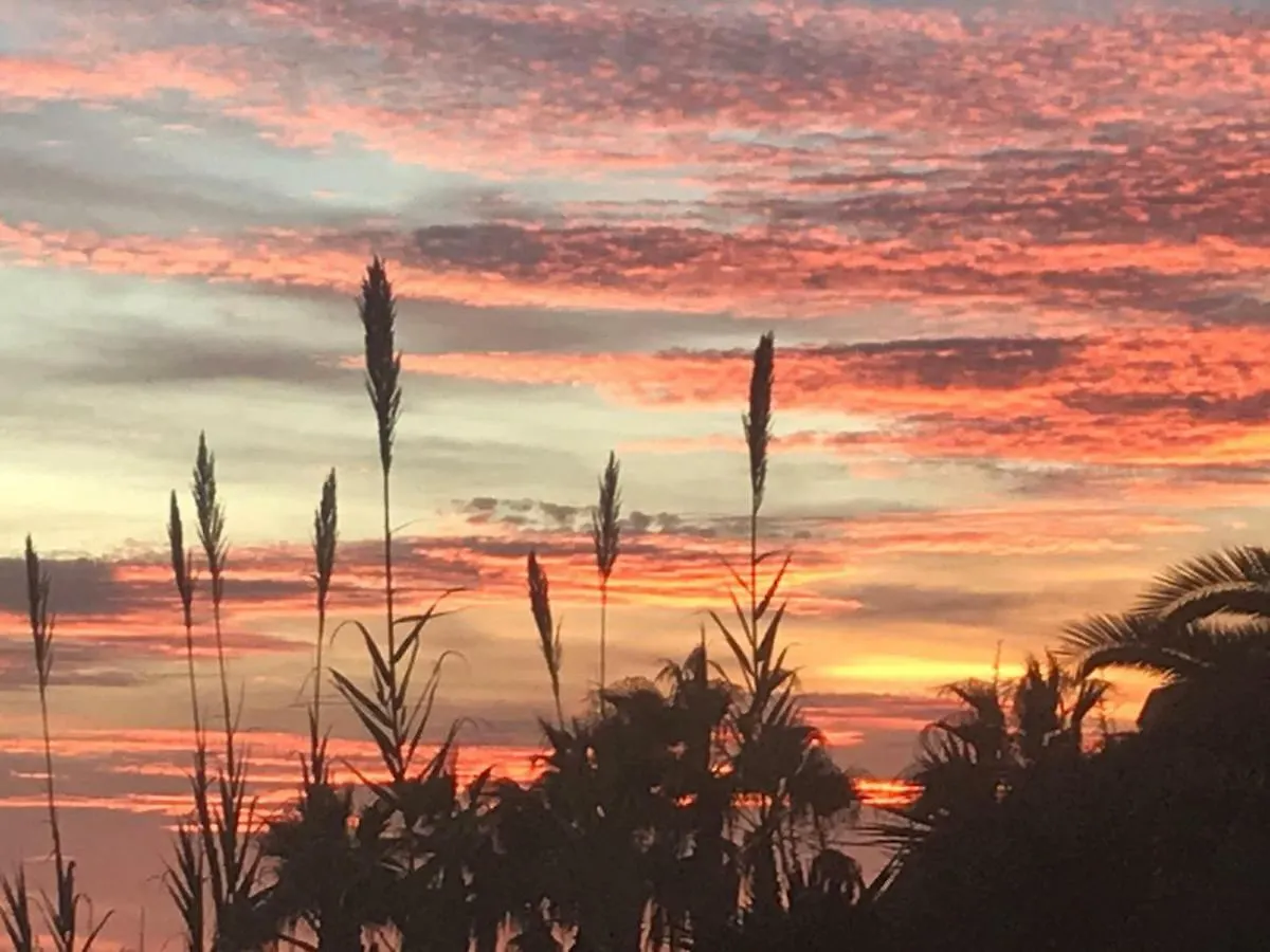 Paraiso Frente Al Mar Apto Duplex Coma-ruga